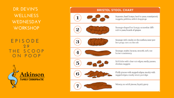 The Scoop on Poop